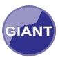 giant-416.pages.dev favicon